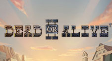 The Dead or Alive 2 slot