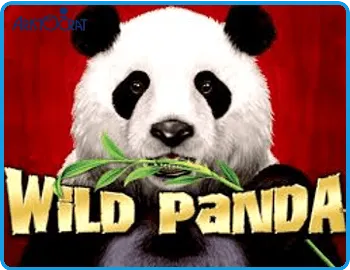 Wild Panda Best Casinos 2