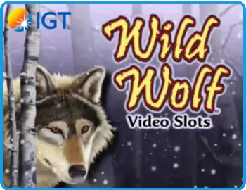 Wild Wolf Best Casinos 2