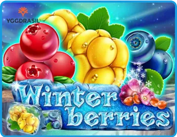 Winter Berries Christmas Slot: An unusual fruit slot 2
