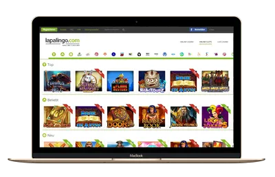 Lapalingo experience 2