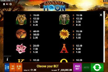 Savanna Moon Best Casinos 10