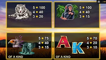 Respin Rhino Best Casinos 10