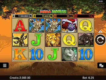 Mega Moolah Best Casinos 8