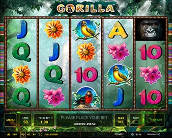 Gorilla Best Casinos 14