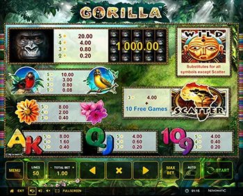 Gorilla Best Casinos 16