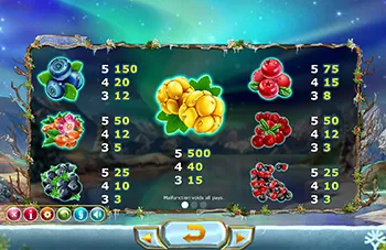 Winter Berries Christmas Slot: An unusual fruit slot 14