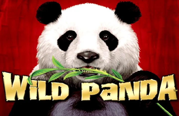Wild Panda Best Casinos 6