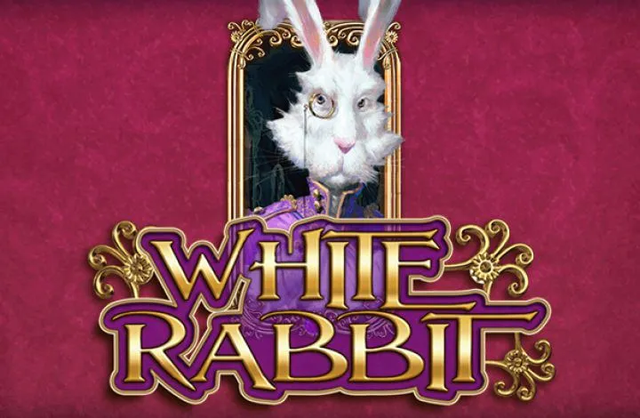 White Rabbit Best Casinos 6