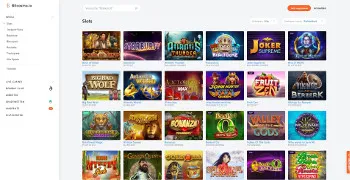 Bitcasino experience 8